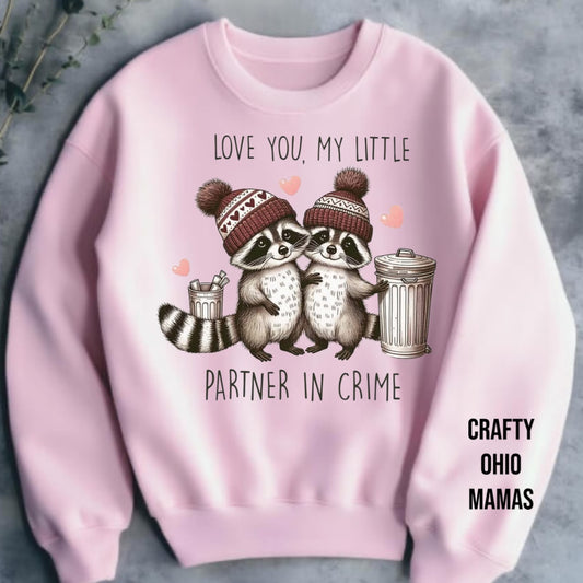 Partner in love sweatshirt 🦝
