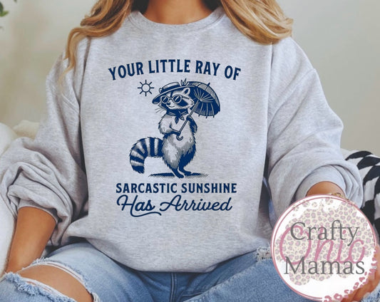 Sarcastic sunshine has arrived sweatshirt