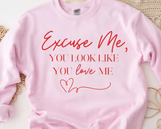 Excuse me, It Looks Like You Love Me Pink sweatshirt